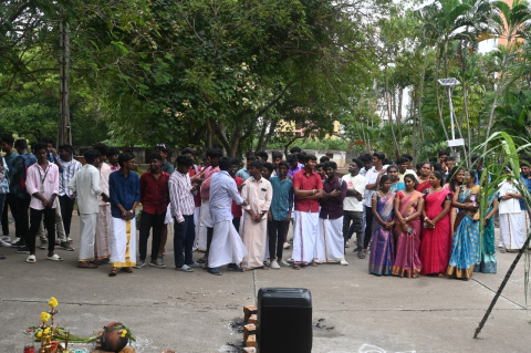 pongal celebration